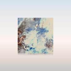 Subtle Touch mp3 Album by Distant Signs