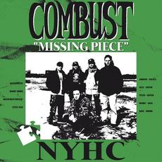 Missing Piece mp3 Single by Combust