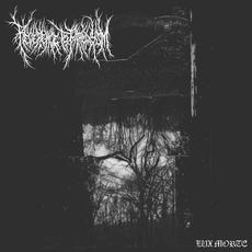 Lux Morte mp3 Album by Reverence to Paroxysm