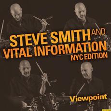 Viewpoint mp3 Album by Vital Information