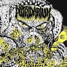 Natvm Ad Mortem mp3 Album by Putridarium