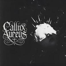 Kyrie Dolor mp3 Album by Callix Aureus