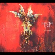 The Last Time mp3 Single by Paradise Lost