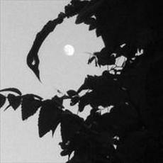 Old Norse Mara mp3 Album by Ak’chamel