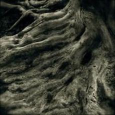 The Divine Vine Tapes mp3 Album by Ak’chamel