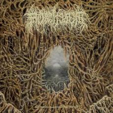 Disgorged From Psychotic Depths mp3 Album by Mortiferum