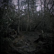 Where Moss Has Fallen mp3 Album by Scars Like Reminders