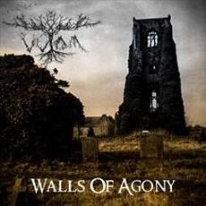 Walls Of Agony mp3 Album by Vûlom