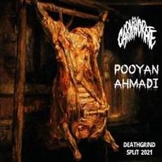 Deathgrind Split 2021 mp3 Compilation by Various Artists