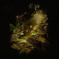 JUNGLE mp3 Album by Lew Apollo