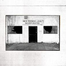 New Promise Land Incorporated mp3 Album by The Temperance Movement