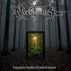 Enigmática incisión del umbral interno mp3 Album by Noctámbulo