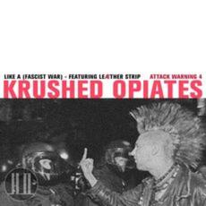 (Like) A Fascist War (featuring Leæther Strip) mp3 Single by Krushed Opiates