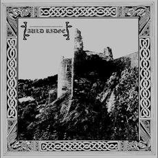 Consanguineous Hymns of Faith and Famine mp3 Album by Auld Ridge
