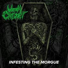 Infesting the Morgue mp3 Album by Worm Casket