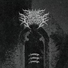 The Estuary mp3 Single by Beyond Extinction