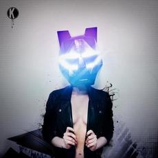 Rhythm Mode mp3 Album by Black Tiger Sex Machine