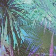 FM Lullabies mp3 Album by Dorienna