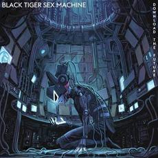 Download the Future mp3 Single by Black Tiger Sex Machine