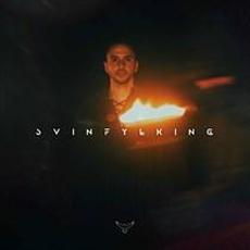 Svínfylking (Techno Version) mp3 Single by Divinius, Bjorth, Noiduin
