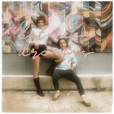 Between Dreams mp3 Album by Bluhm