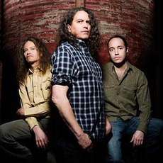 Meat Puppets Music Discography