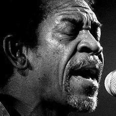 Luther Allison Music Discography