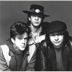 Stevie Ray Vaughan And Double Trouble Music Discography