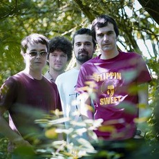 The Bluetones Music Discography