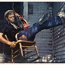 Jerry Reed Music Discography