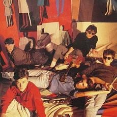 The Bluebells Music Discography