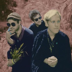 Unknown Mortal Orchestra Music Discography