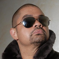 Heavy D Music Discography