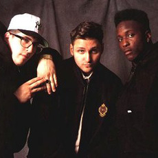 3rd Bass Music Discography