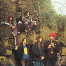 Ozric Tentacles Music Discography