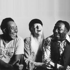 Muddy Waters, Johnny Winter & James Cotton Music Discography