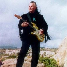 Dick Dale Music Discography