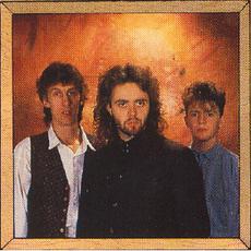The Icicle Works Music Discography