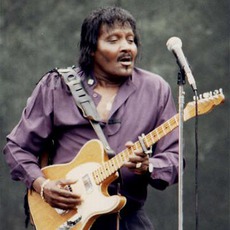 Albert Collins Music Discography