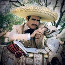 Vicente Fernández Music Discography