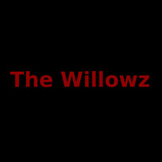 The Willowz Music Discography