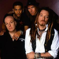 The Wildhearts Music Discography