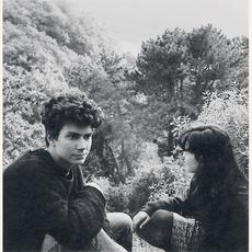 Flying Saucer Attack Music Discography