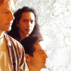 Snowy White & The White Flames Music Discography
