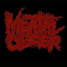Meatal Ulcer Music Discography
