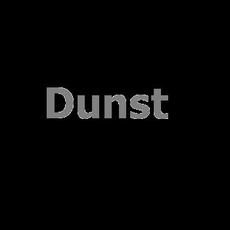 Dunst Music Discography