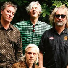 Robyn Hitchcock & The Venus 3 Music Discography
