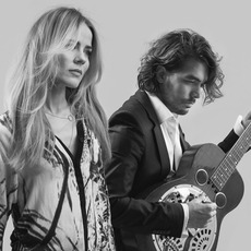 The Common Linnets Music Discography