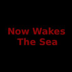 Now Wakes The Sea Music Discography