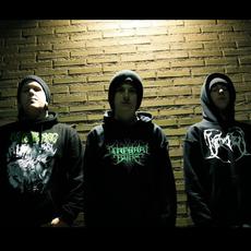 Festering Remains Music Discography